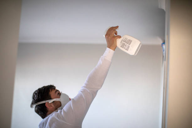 Best Toxic Mold Removal  in Cedar Glen Lakes, NJ
