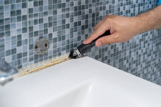 Best Certified Mold Removal  in Cedar Glen Lakes, NJ